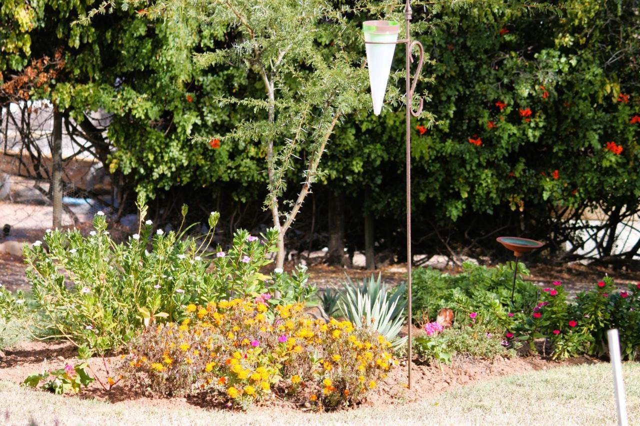 Hotel 86 On Jubilee Oudtshoorn Zewnętrze zdjęcie