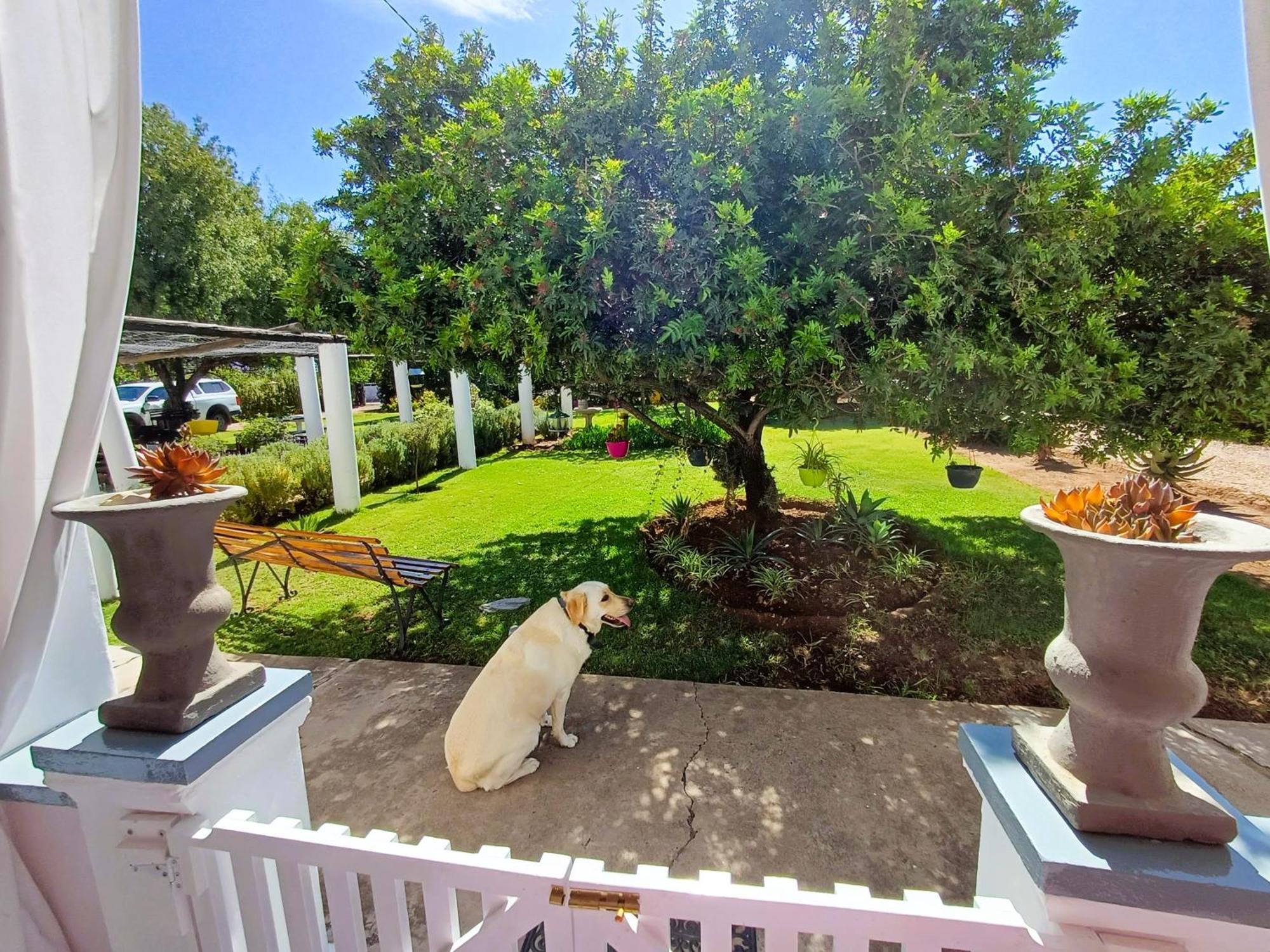 Hotel 86 On Jubilee Oudtshoorn Pokój zdjęcie
